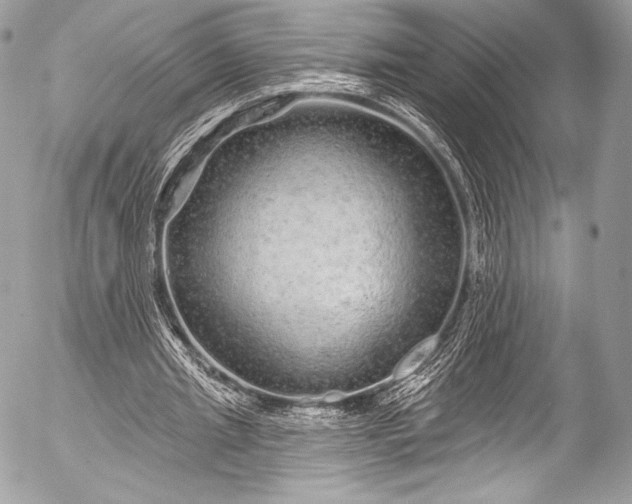 X0000053060437200507251453