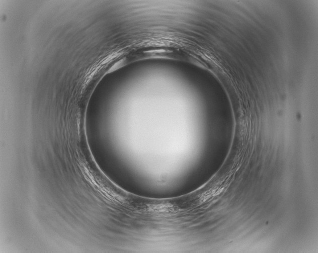 X0000053060446200507251453
