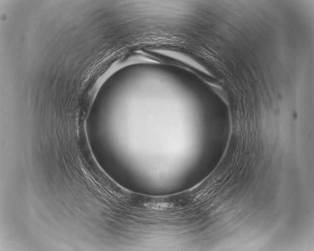 X0000053060448200507251453