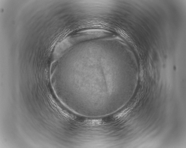 X0000053060449200507251453