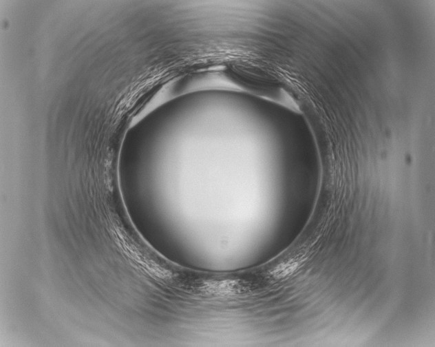 X0000053060450200507251453