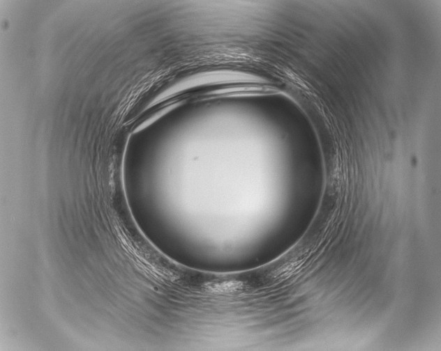 X0000053060452200507251453