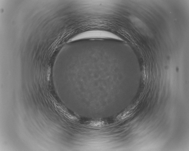 X0000053060458200507251453