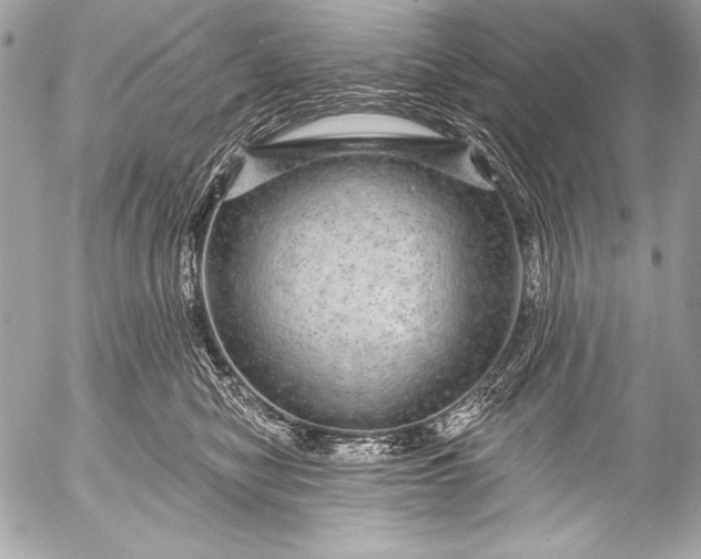 X0000053060470200507251453