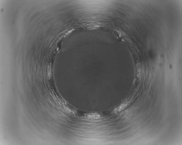 X0000053060471200507251453