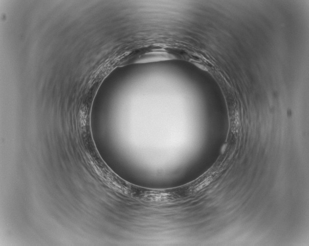 X0000053060472200507251453