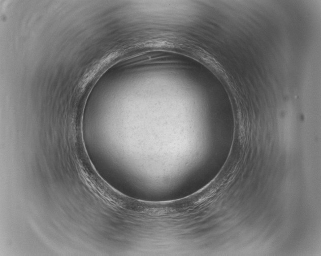 X0000053060482200507251452
