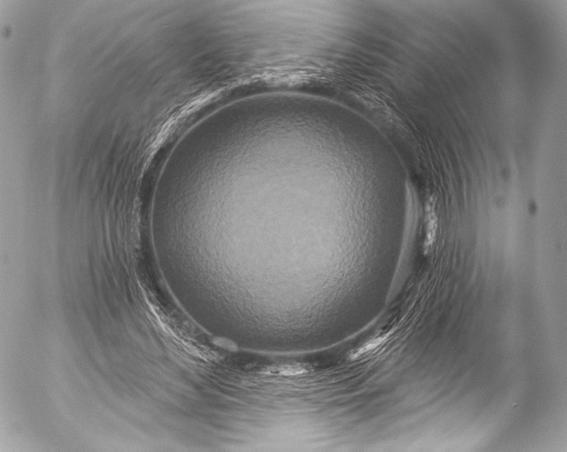 X0000053060492200507251452