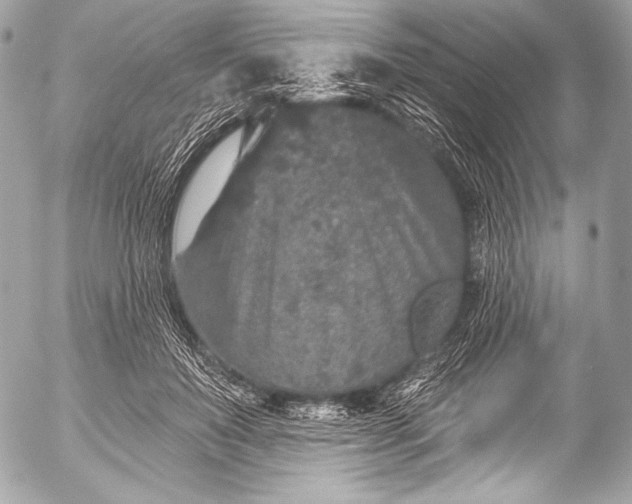 X0000053060503200507251452