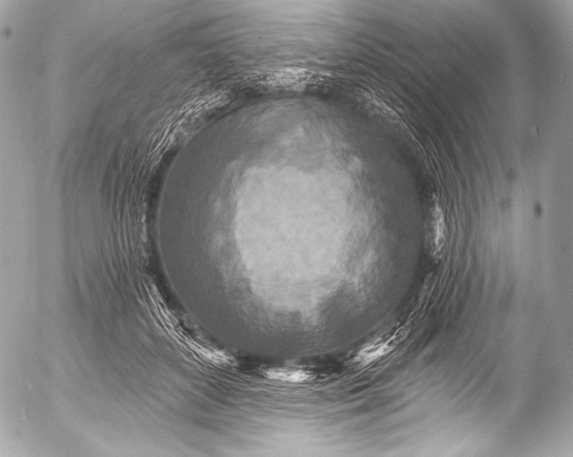 X0000053060504200507251452