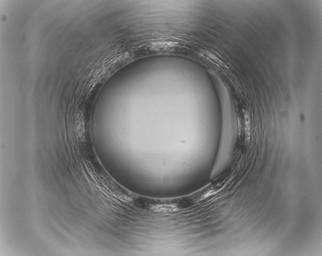 X0000053060508200507251452