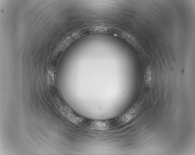 X0000053060522200507251452