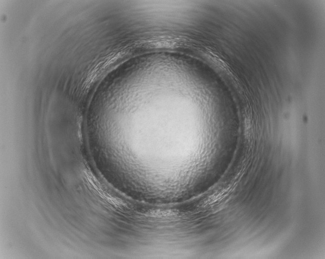 X0000053060537200507251451