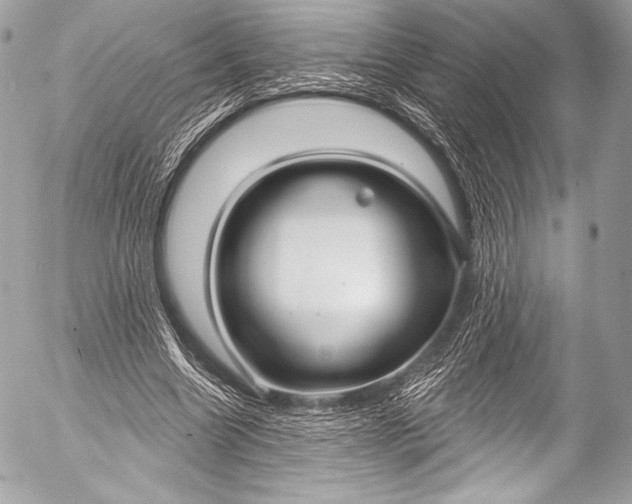 X0000053060538200507251451