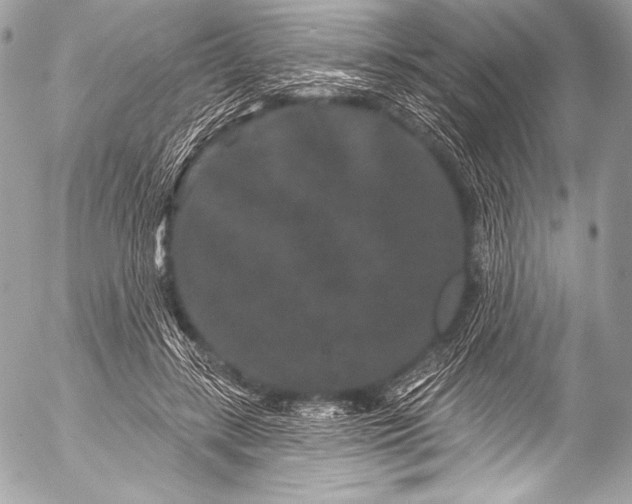 X0000053060547200507251451