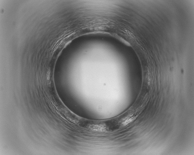 X0000053060548200507251451