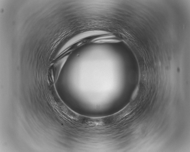 X0000053060552200507251451