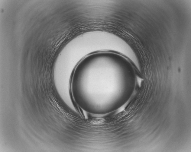X0000053060560200507251451