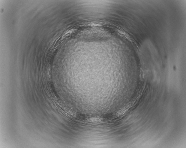 X0000053060561200507251451