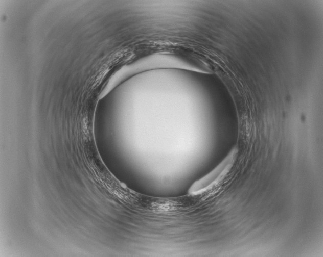 X0000053060564200507251451
