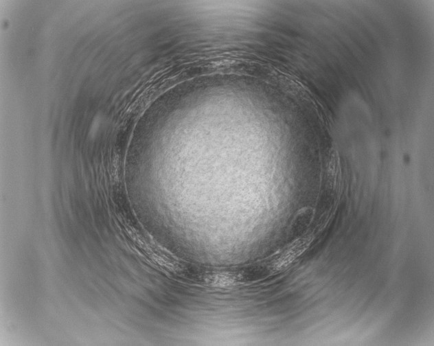 X0000053060565200507251451