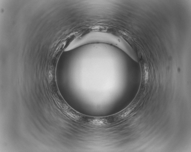 X0000053060566200507251451