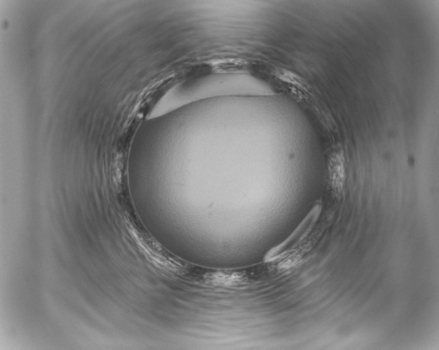 X0000053060570200507251452