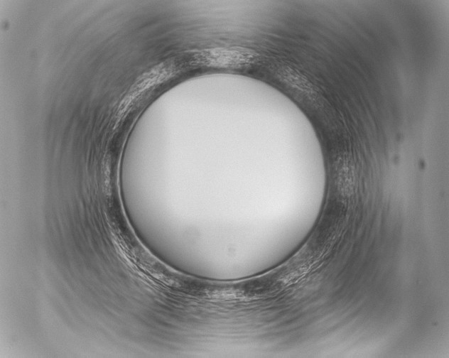 X0000053060587200507251451