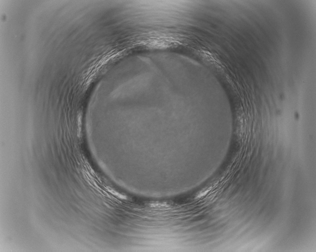 X0000053060596200507251451