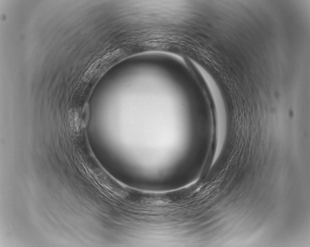 X0000053060597200507251451