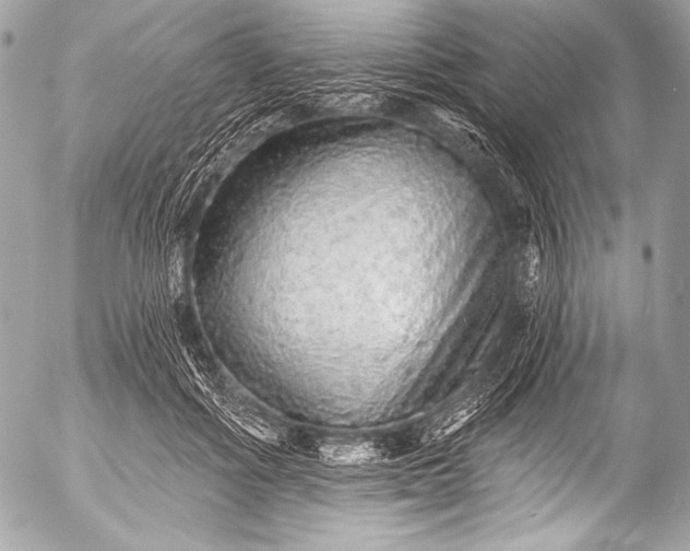X0000053060602200507251450