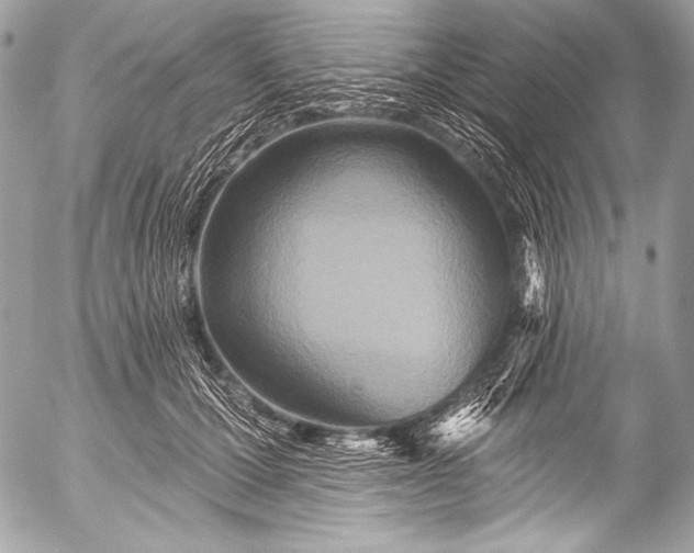 X0000053060607200507251450