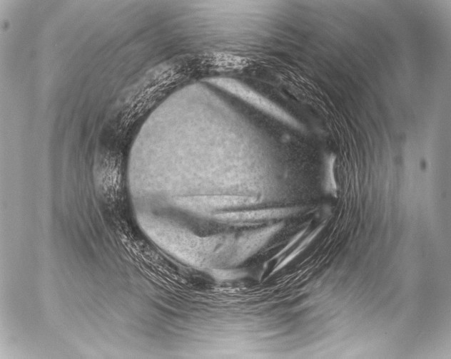 X0000053060608200507251450