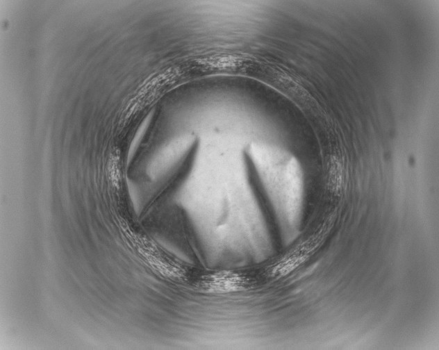 X0000053060612200507251450