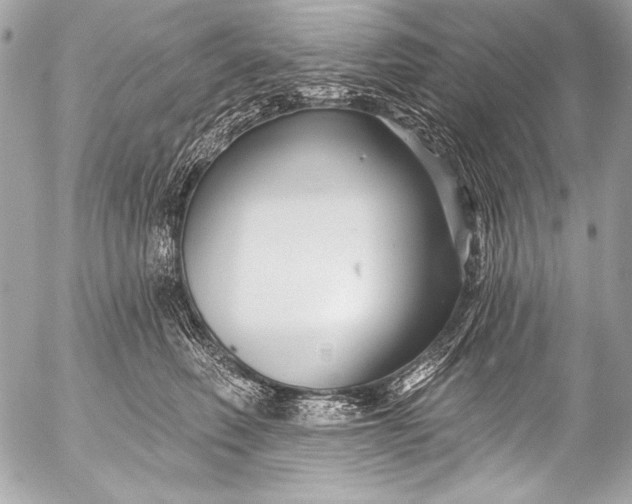 X0000053060614200507251450