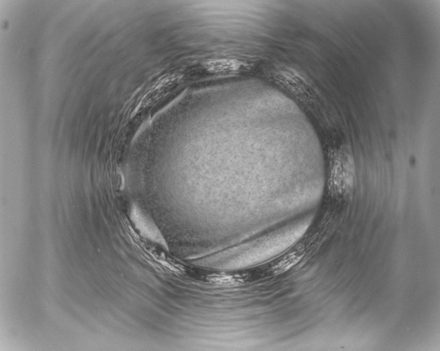 X0000053060616200507251450