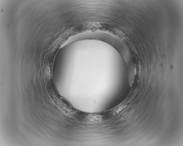 X0000053060617200507251450