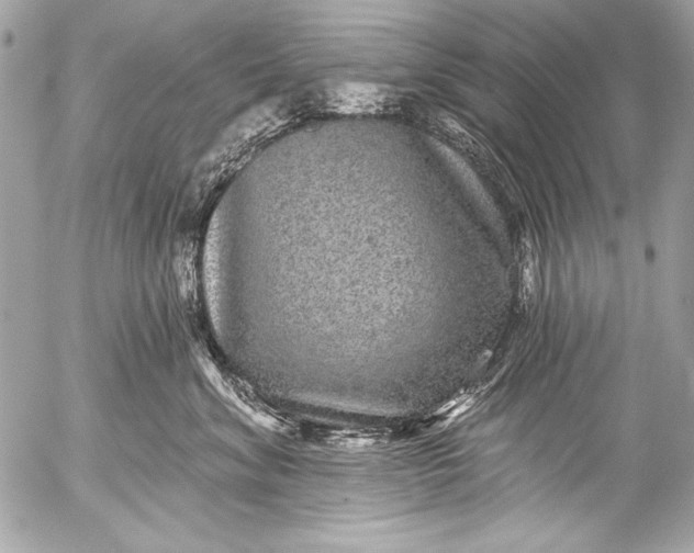 X0000053060620200507251450