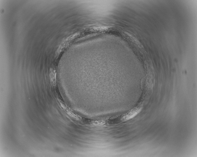 X0000053060624200507251450