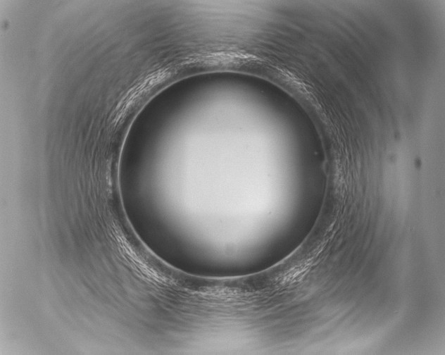 X0000053060633200507251449
