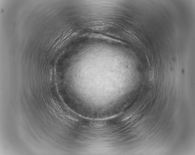 X0000053060652200507251450
