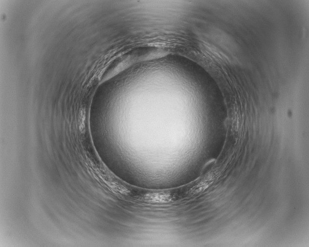X0000053060660200507251450