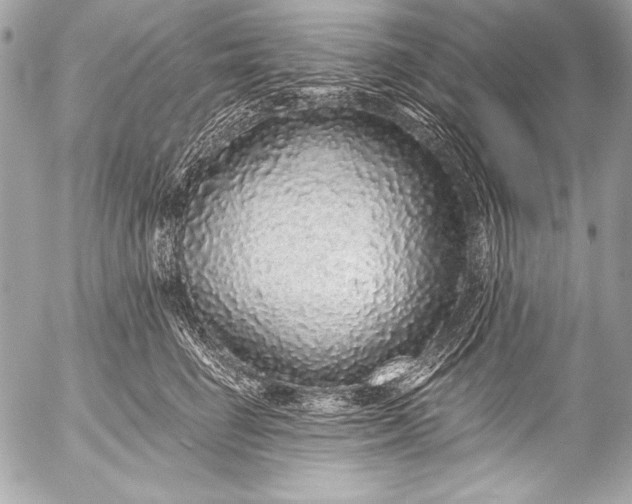 X0000053060662200507251450