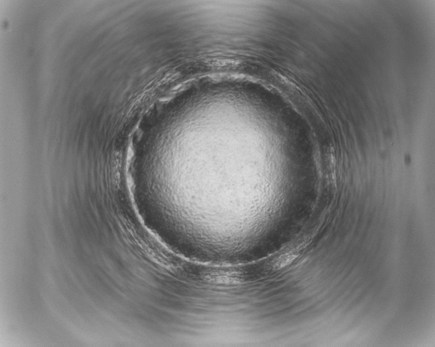 X0000053060664200507251450
