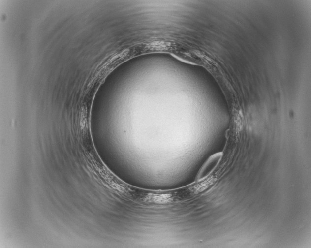 X0000053060665200507251450