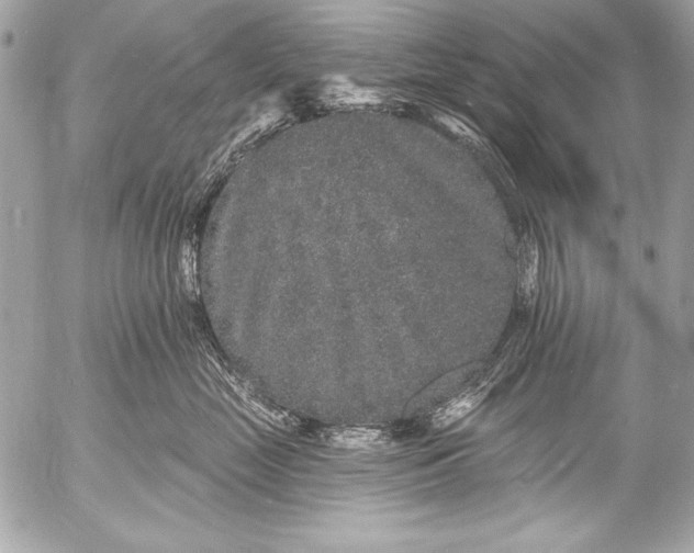 X0000053060669200507251450