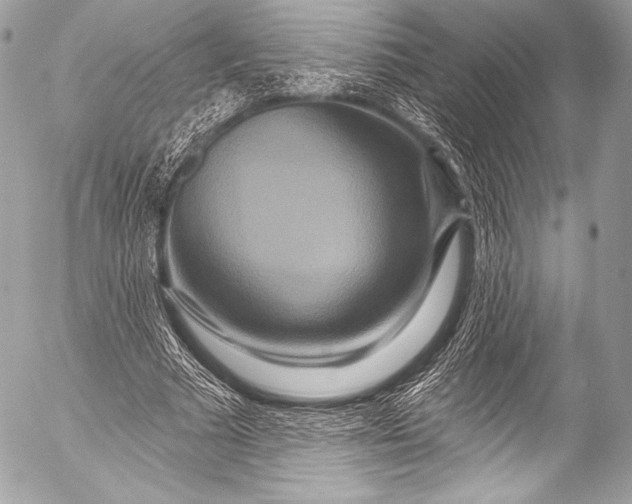 X0000053060681200507251449