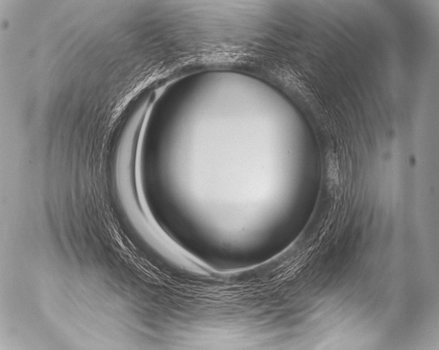 X0000053060684200507251449