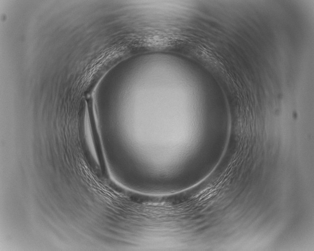 X0000053060689200507251449
