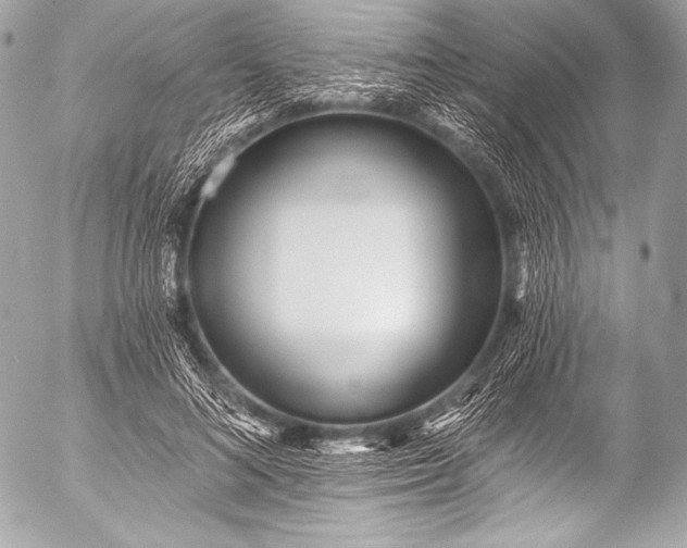 X0000053060692200507251449